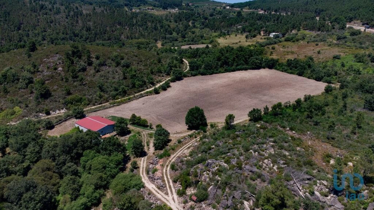 Terreno para Venda em Santa Cruz/Trindade e Sanjurge Foto 10