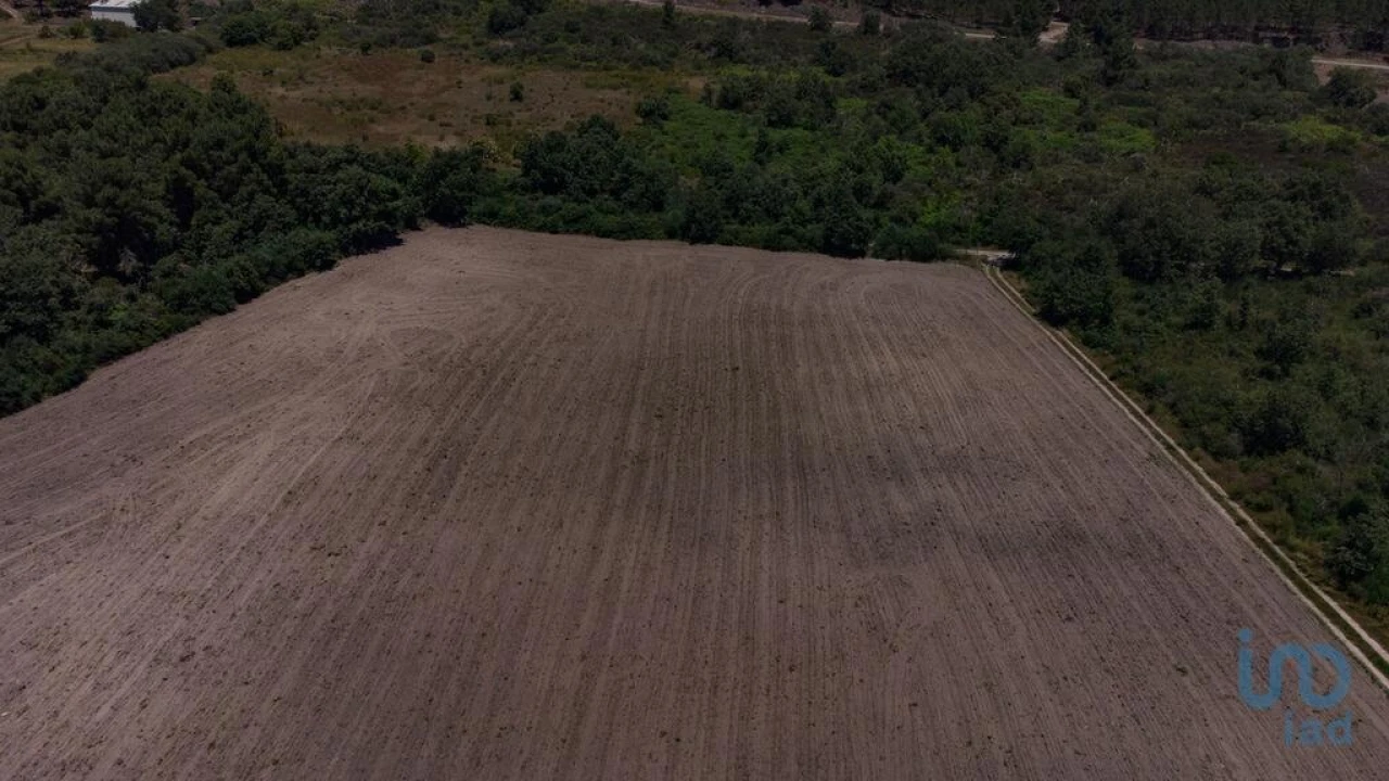 Terreno para Venda em Santa Cruz/Trindade e Sanjurge Foto 4
