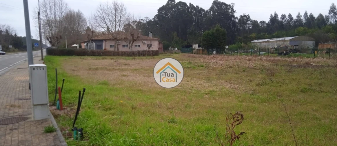 Terreno para Venda em Fonte de Angeão e Covão do Lobo Foto 3