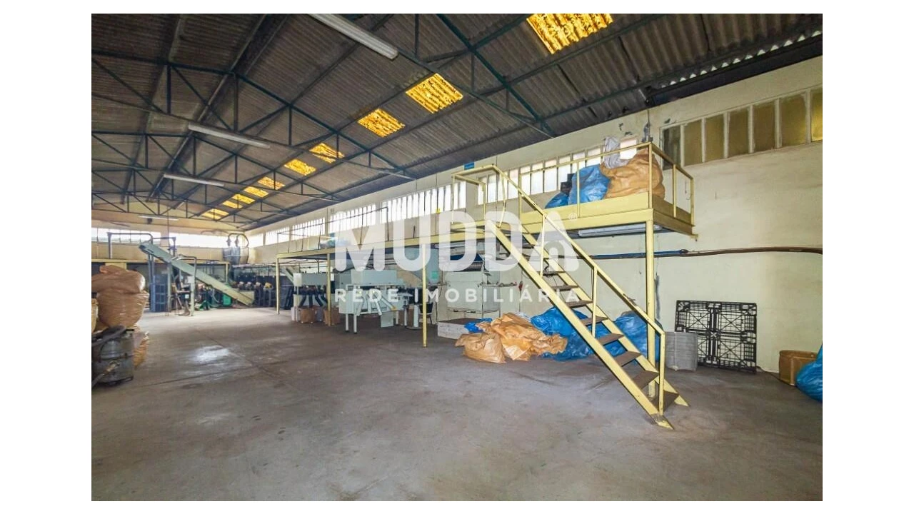 Armazém para Arrendamento em Lourosa Foto 5