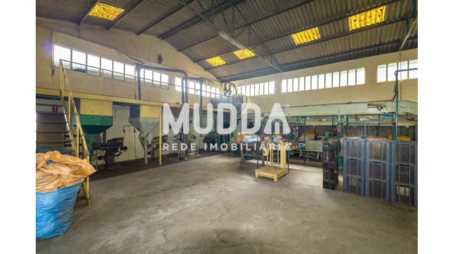 Armazém para Arrendamento em Lourosa Foto 3
