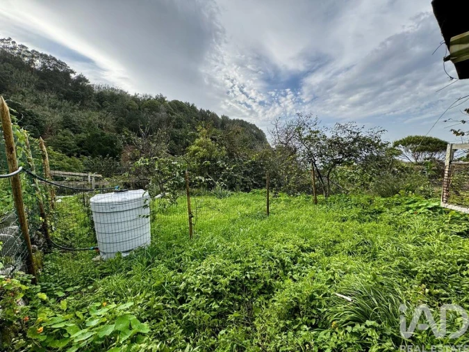 Moradia T7 para Venda em Arco de São Jorge Foto 23