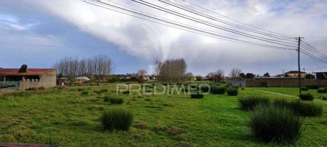 Terreno para Venda em Calvão Foto 2