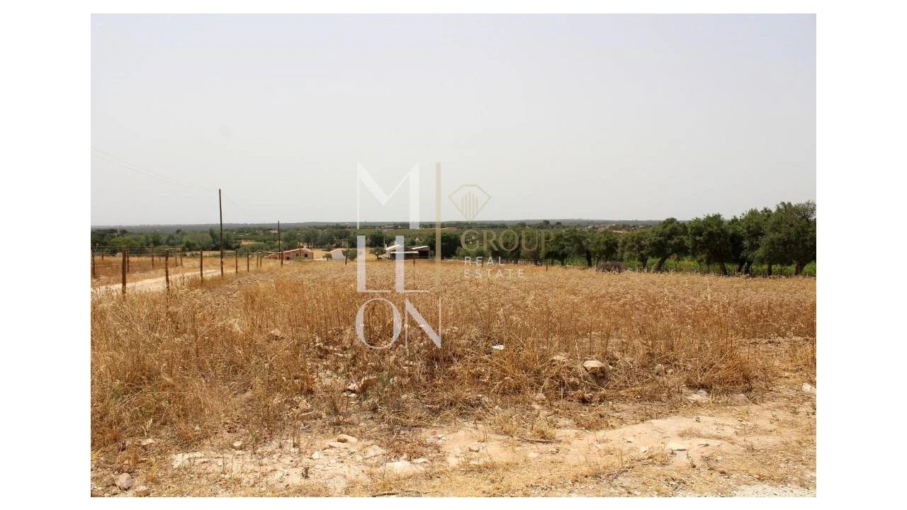 Terreno para Venda em Reguengos de Monsaraz Foto 5
