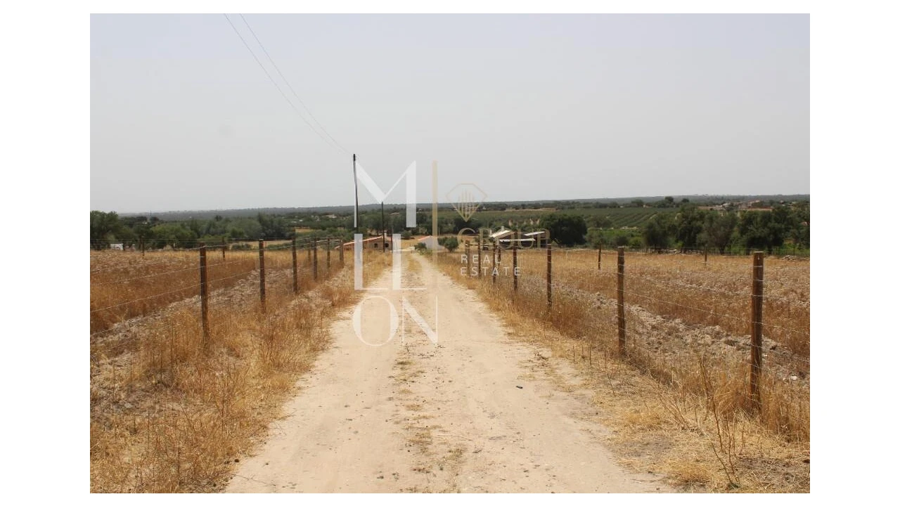 Terreno para Venda em Reguengos de Monsaraz Foto 9