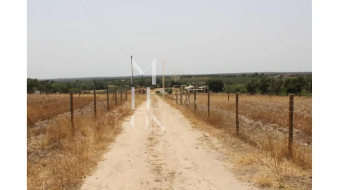 Terreno para Venda em Reguengos de Monsaraz