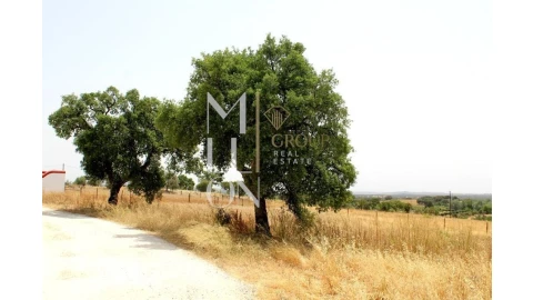 Terreno para Venda em Reguengos de Monsaraz