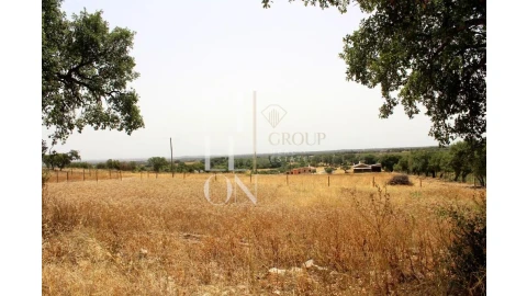 Terreno para Venda em Reguengos de Monsaraz