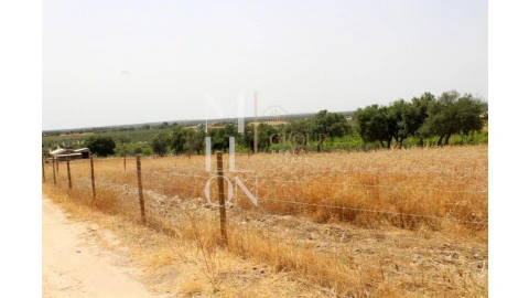 Terreno para Venda em Reguengos de Monsaraz
