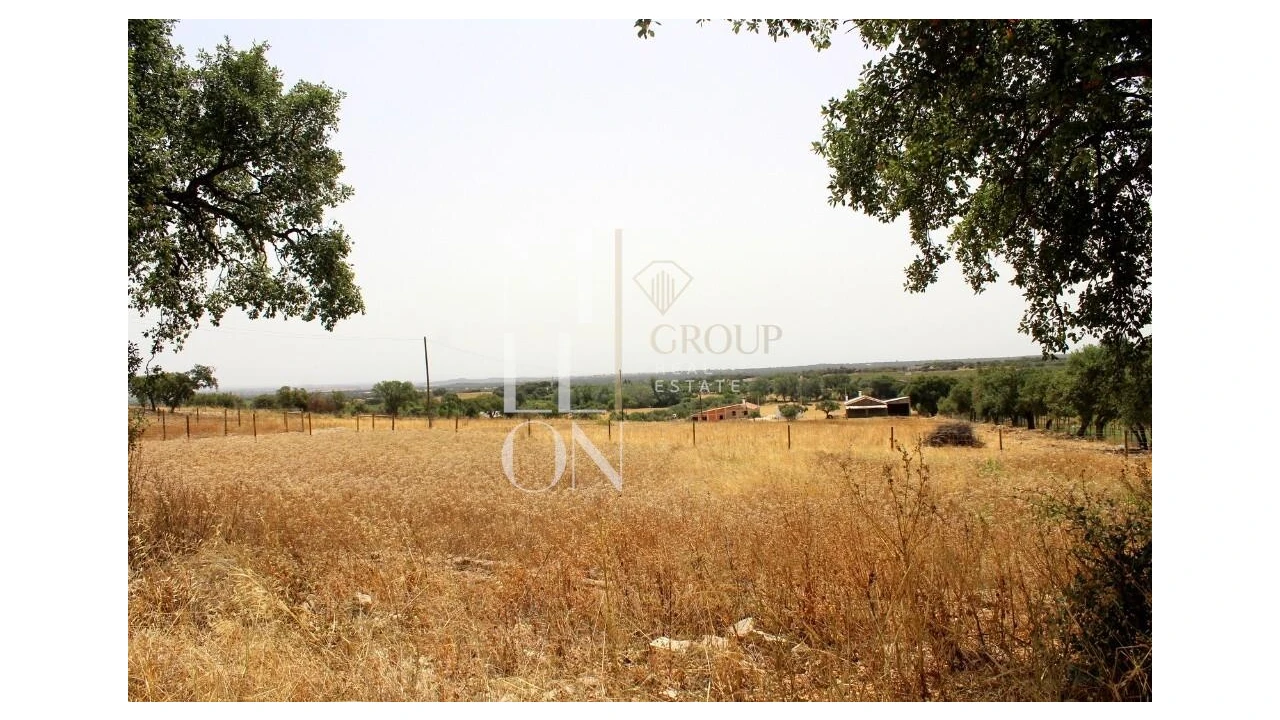 Terreno para Venda em Reguengos de Monsaraz Foto 7
