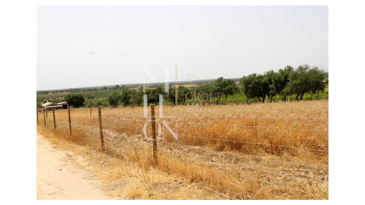 Terreno para Venda em Reguengos de Monsaraz Foto 10
