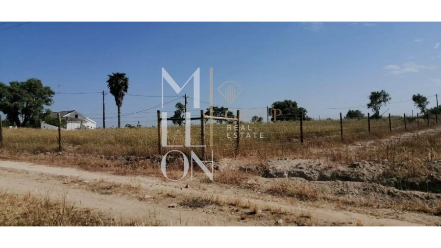 Terreno para Venda em Reguengos de Monsaraz Foto 2