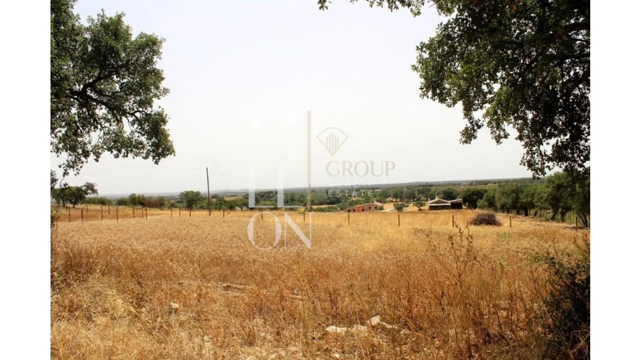 Terreno para Venda em Reguengos de Monsaraz Foto 7