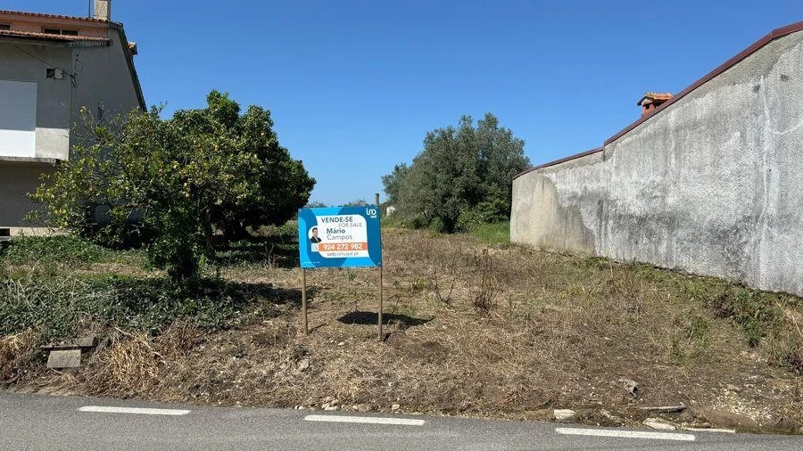 Terreno para Venda em Avelãs de Cima