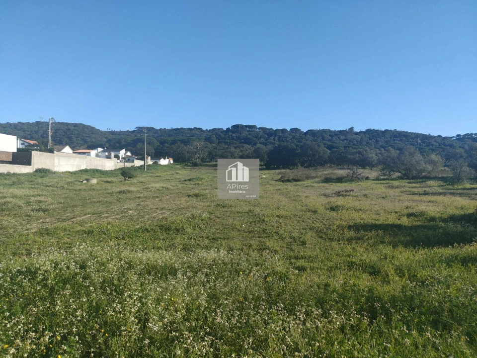 Terreno para Venda em Azeitão (São Lourenço e São Simão) Foto 8
