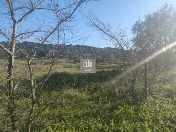 Terreno para Venda em Azeitão (São Lourenço e São Simão)
