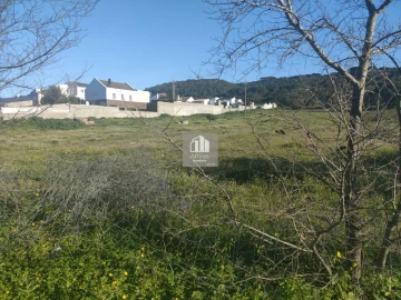 Terreno para Venda em Azeitão (São Lourenço e São Simão)