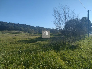 Terreno para Venda em Azeitão (São Lourenço e São Simão)