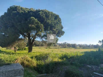 Terreno para Venda em Azeitão (São Lourenço e São Simão)