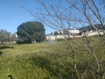 Terreno para Venda em Azeitão (São Lourenço e São Simão)
