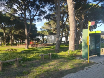 Terreno para Venda em Azeitão (São Lourenço e São Simão)
