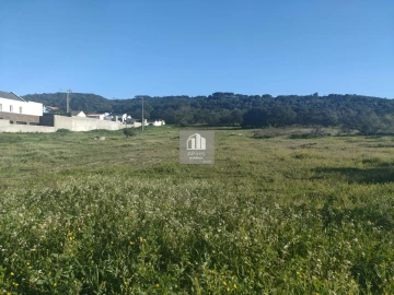 Terreno para Venda em Azeitão (São Lourenço e São Simão)