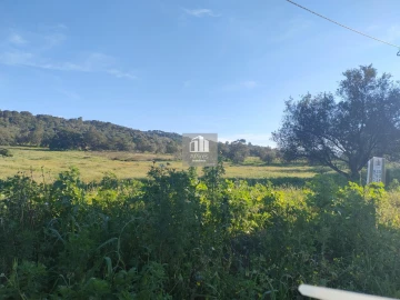 Terreno para Venda em Azeitão (São Lourenço e São Simão)