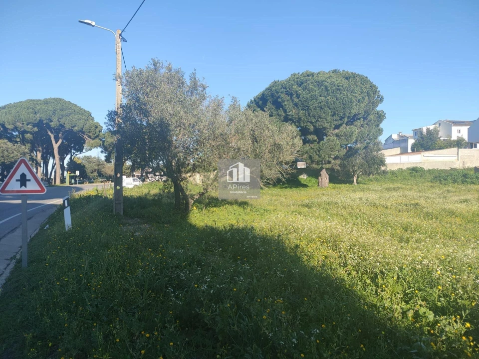 Terreno para Venda em Azeitão (São Lourenço e São Simão) Foto 7