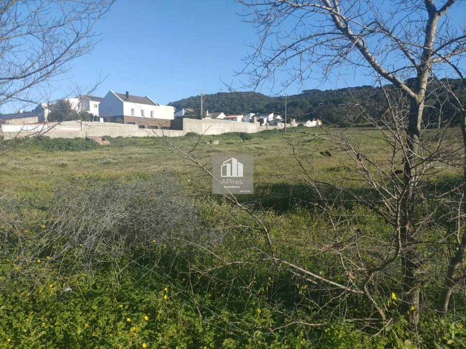 Terreno para Venda em Azeitão (São Lourenço e São Simão) Foto 5