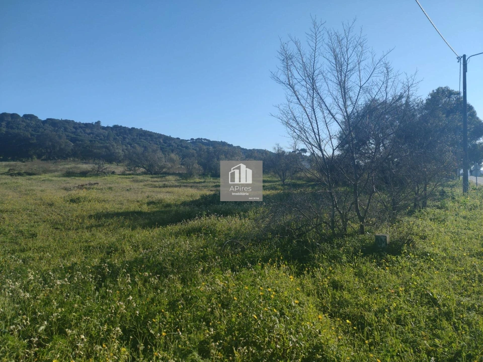 Terreno para Venda em Azeitão (São Lourenço e São Simão) Foto 6
