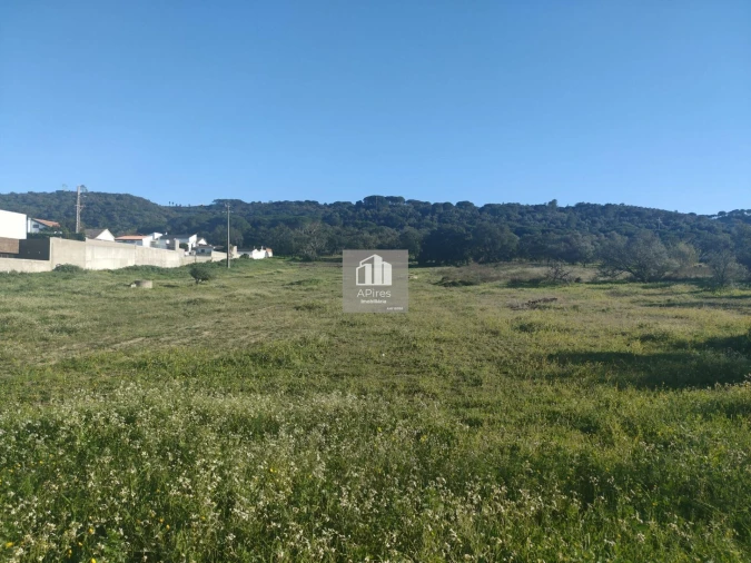 Terreno para Venda em Azeitão (São Lourenço e São Simão) Foto 8
