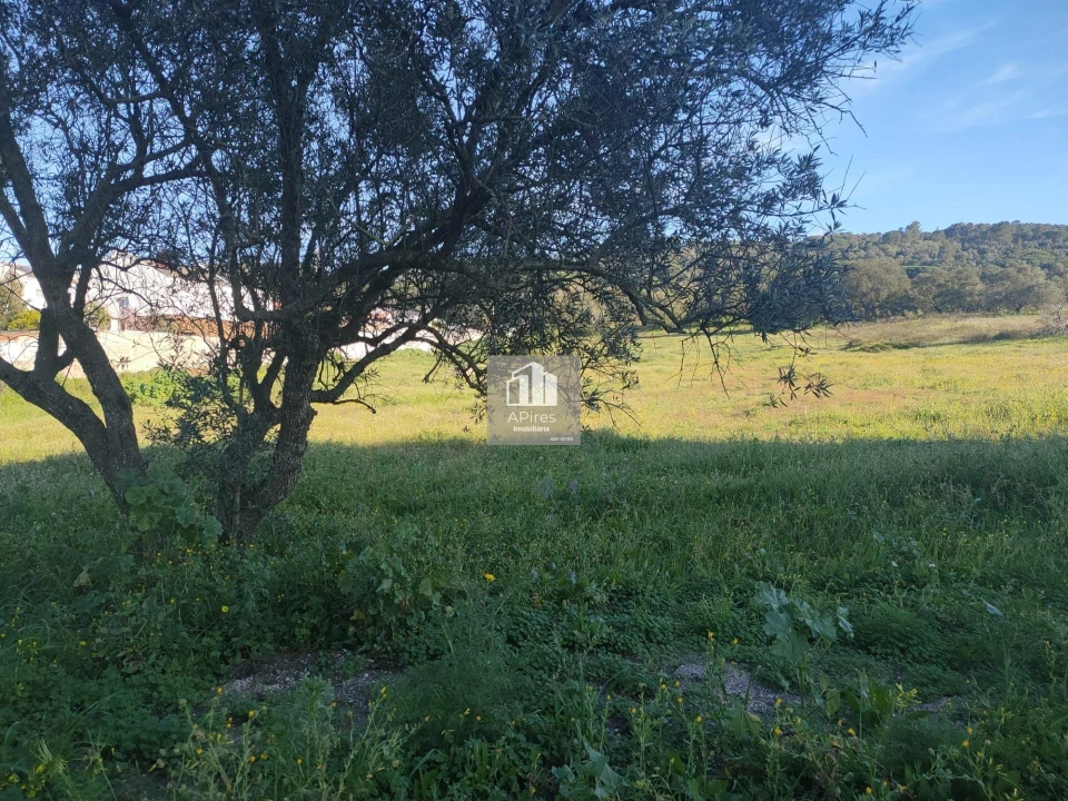 Terreno para Venda em Azeitão (São Lourenço e São Simão) Foto 14