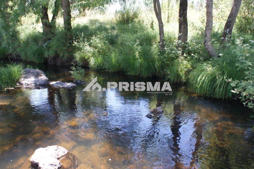 Terreno para Venda em Penamacor Foto 22