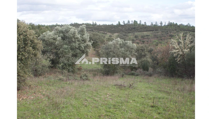 Terreno para Venda em Penamacor Foto 1
