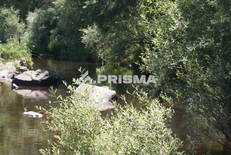 Terreno para Venda em Penamacor Foto 23