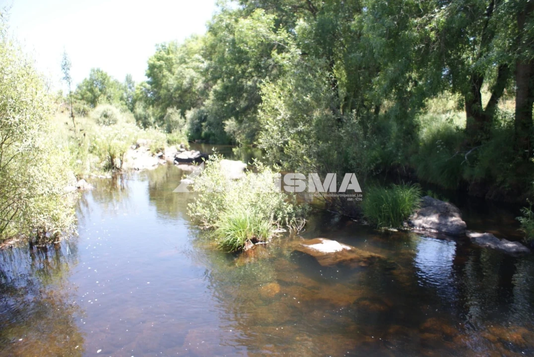 Terreno para Venda em Penamacor Foto 20