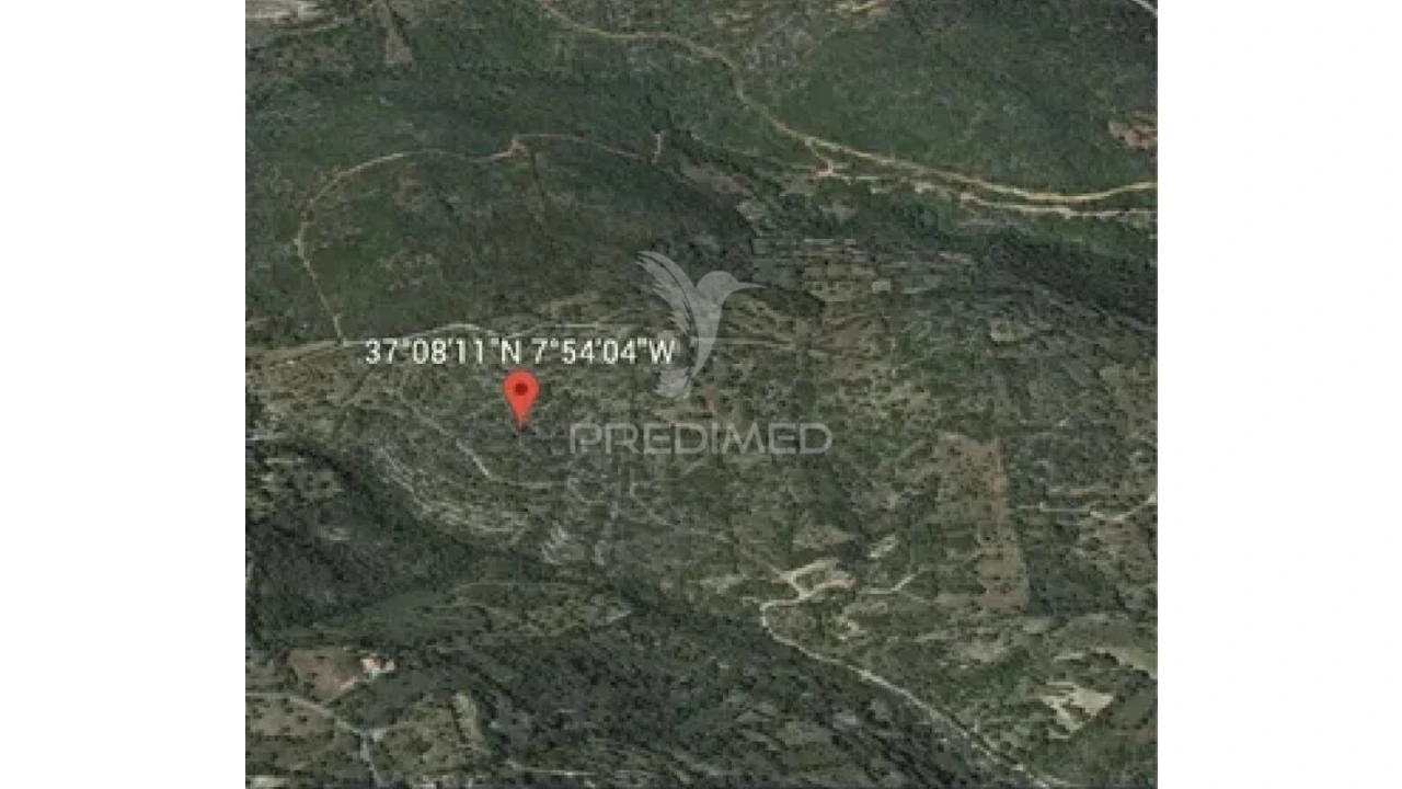 Terreno para Venda em São Brás de Alportel Foto 4