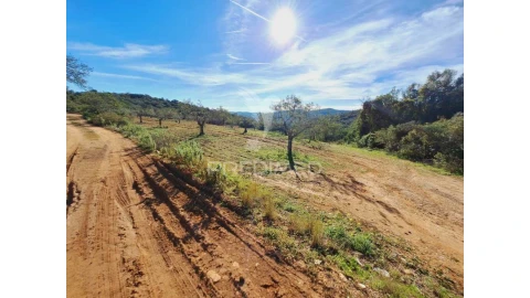 Terreno para Venda em São Brás de Alportel