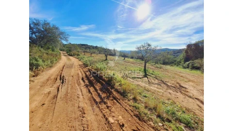 Terreno para Venda em São Brás de Alportel