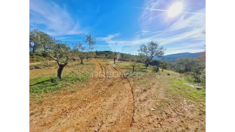Terreno para Venda em São Brás de Alportel