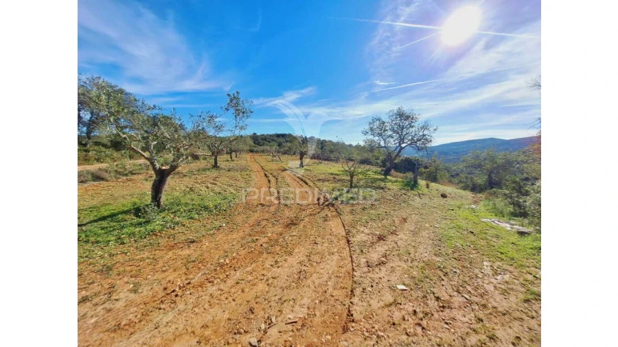 Terreno para Venda em São Brás de Alportel Foto 2
