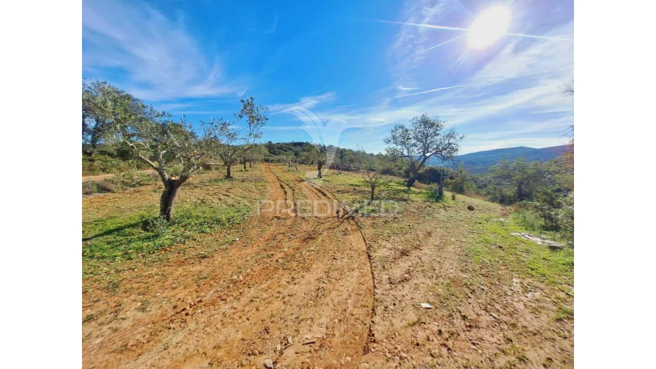 Terreno para Venda em São Brás de Alportel Foto 2