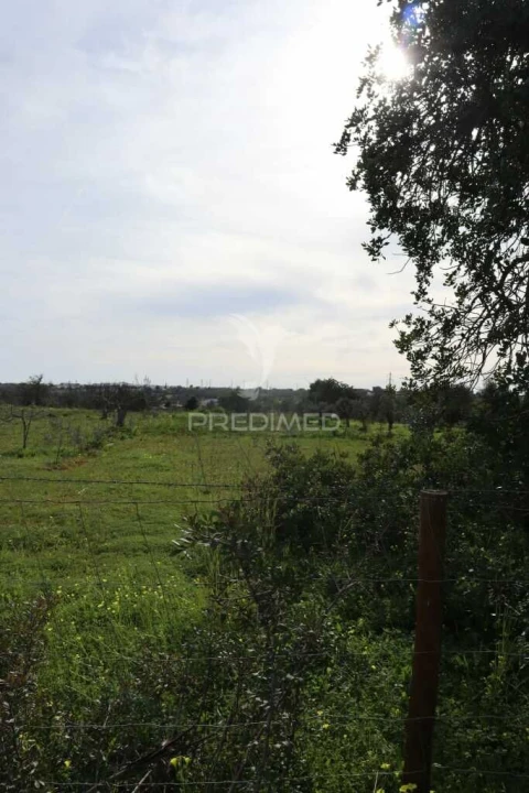 Terreno para Venda em Guia