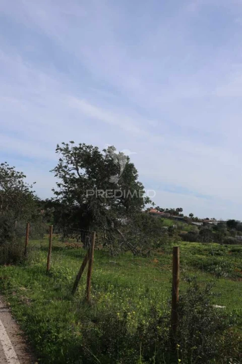 Terreno para Venda em Guia