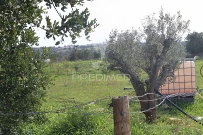 Terreno para Venda em Guia