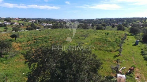 Terreno para Venda em Guia