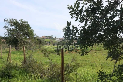 Terreno para Venda em Guia