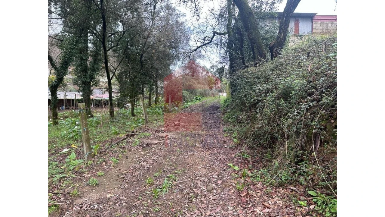 Terreno para Venda em Pico de Regalados, Gondiães e Mós Foto 16