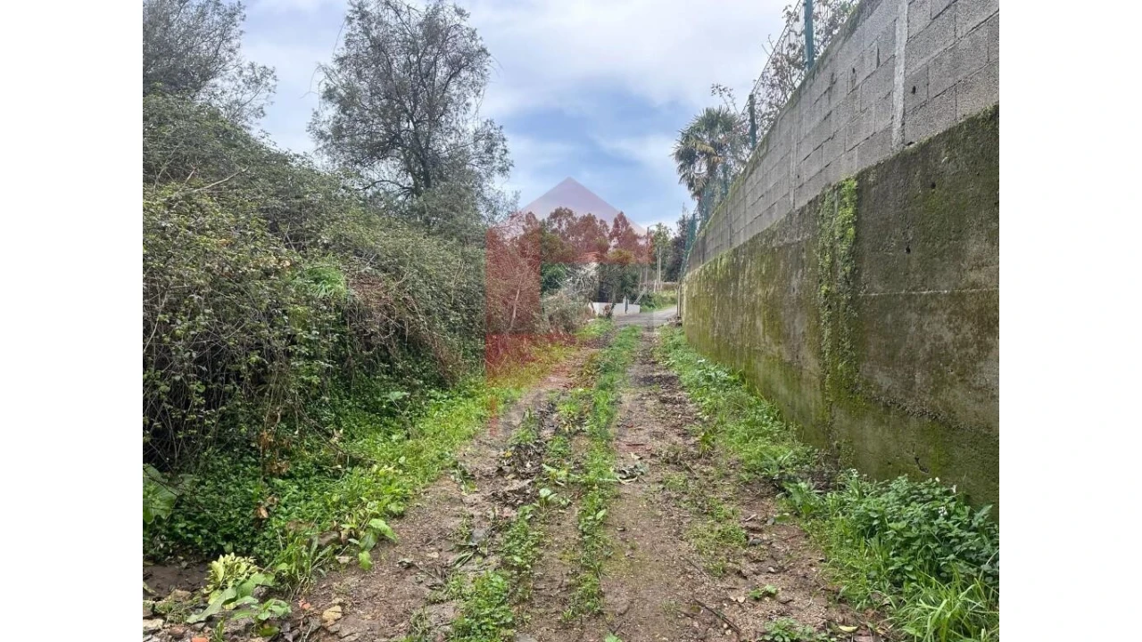 Terreno para Venda em Pico de Regalados, Gondiães e Mós Foto 17