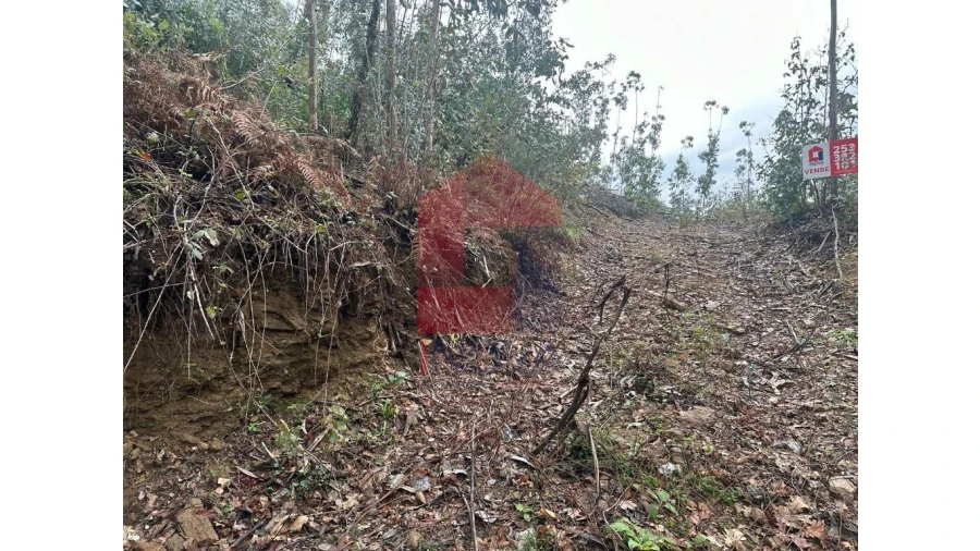 Terreno para Venda em Pico de Regalados, Gondiães e Mós Foto 14